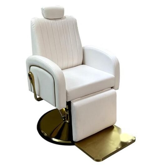 Salon Chair Y038