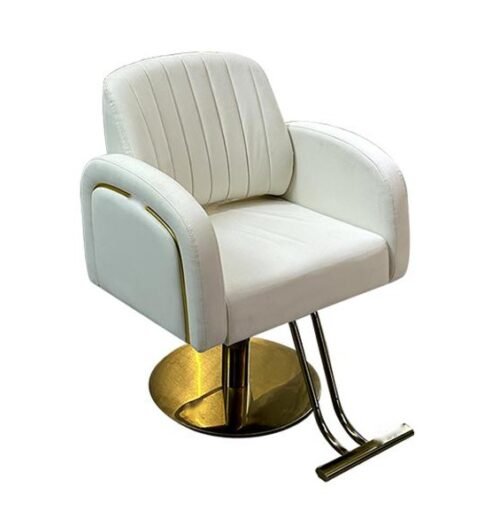 Salon Chair Y040