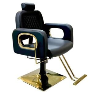 Salon Chair Y045