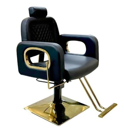 Salon Chair Y045