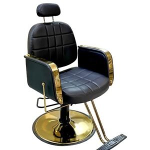 Salon Chair Y046