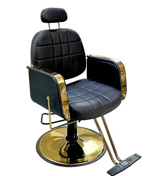 Salon Chair Y046