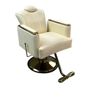 Salon Chair Y048