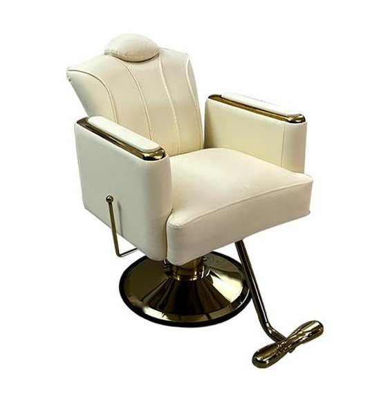 Salon Chair Y048