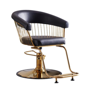Salon Chair Y17