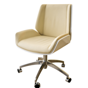 Salon Chair Y63