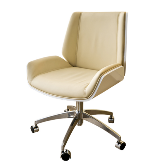 Salon Chair Y63