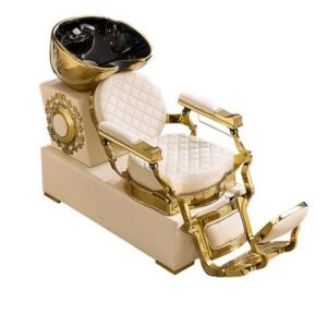 Shampoo Chair B021