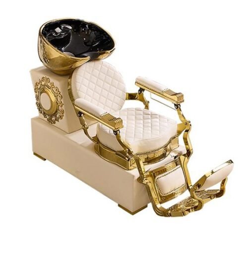 Shampoo Chair B021