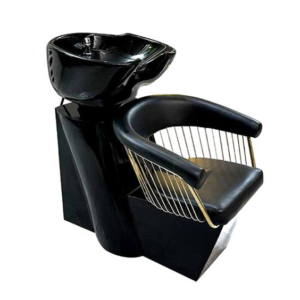 Shampoo Chair B025