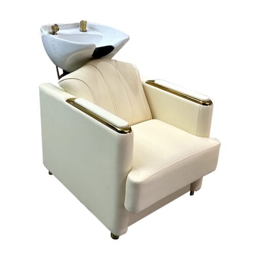 Shampoo Chair B030
