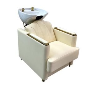 Shampoo Chair B030