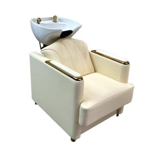 Shampoo Chair B030