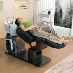 Shampoo Chair B17T