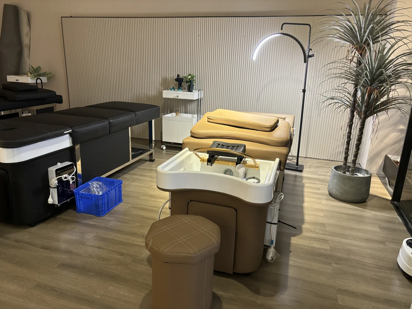 Customer photo, verified head spa buyer, United States